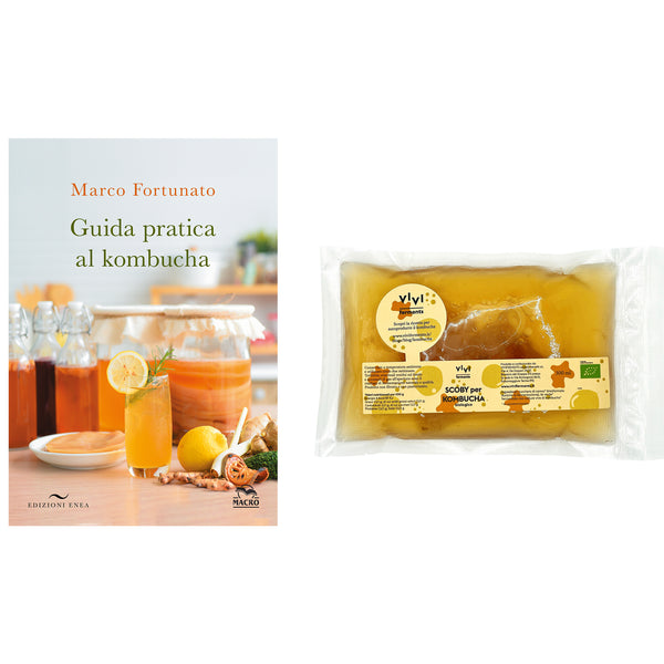 SCOBY FOR ORGANIC KOMBUCHA