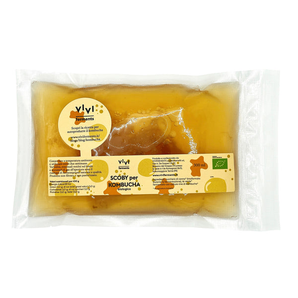 SCOBY FOR ORGANIC KOMBUCHA