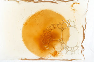 Kombucha fai da te