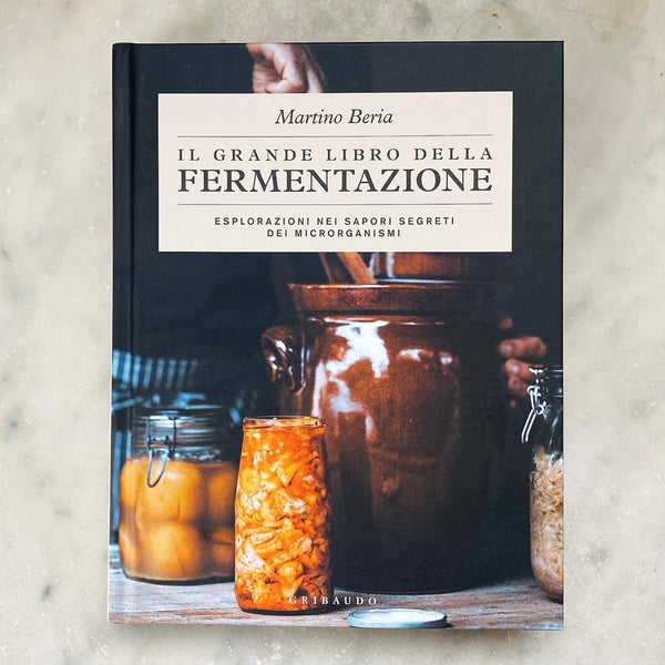 Il grande libro della fermentazione