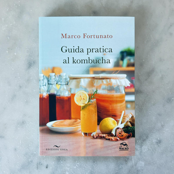 Guida pratica al kombucha