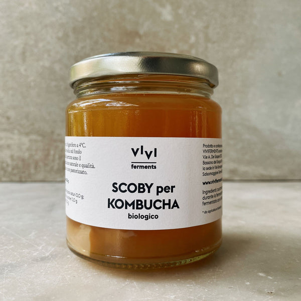 SCOBY PER KOMBUCHA biologico